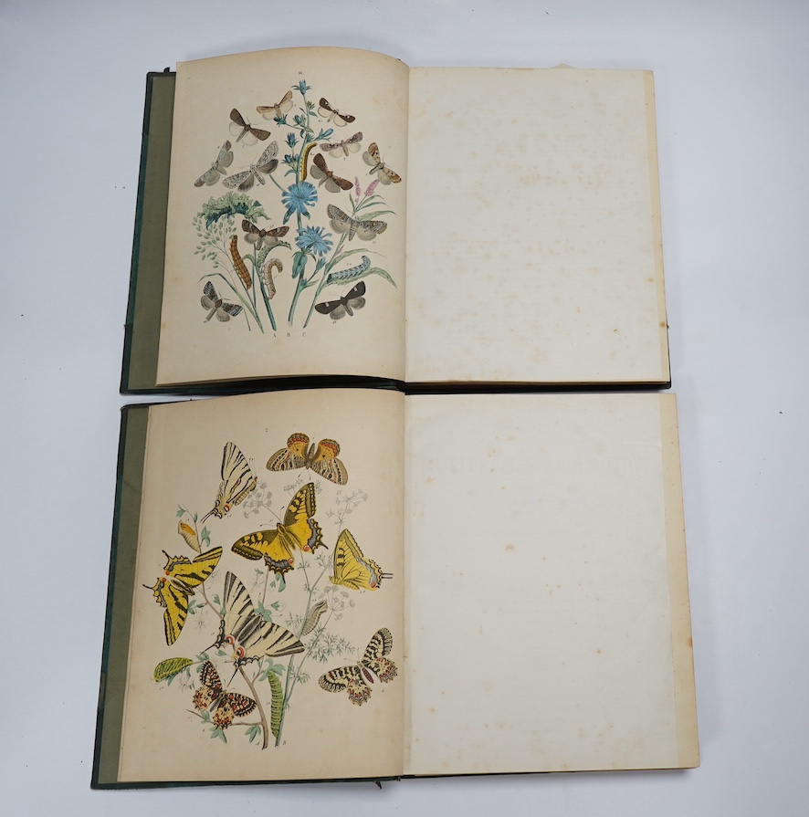 Kirby, W.F. - European Butterflies and Moths ... bound as 2 vols. 62 plates (61 coloured); contemp. half calf and cloth, 4to. 1882; sold with Culpeper, Nicholas - The Complete Herbal ... to which are now first annexed, t